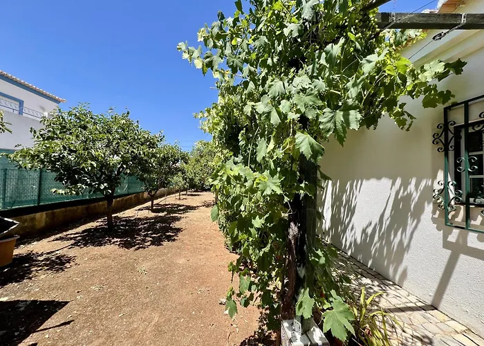 Alvor Traditional With Pool By Homing 别墅