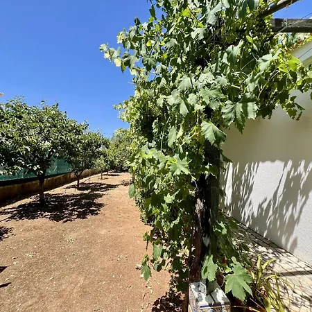 Alvor Traditional With Pool By Homing Villa