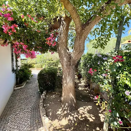 Villa Alvor Traditional With Pool By Homing